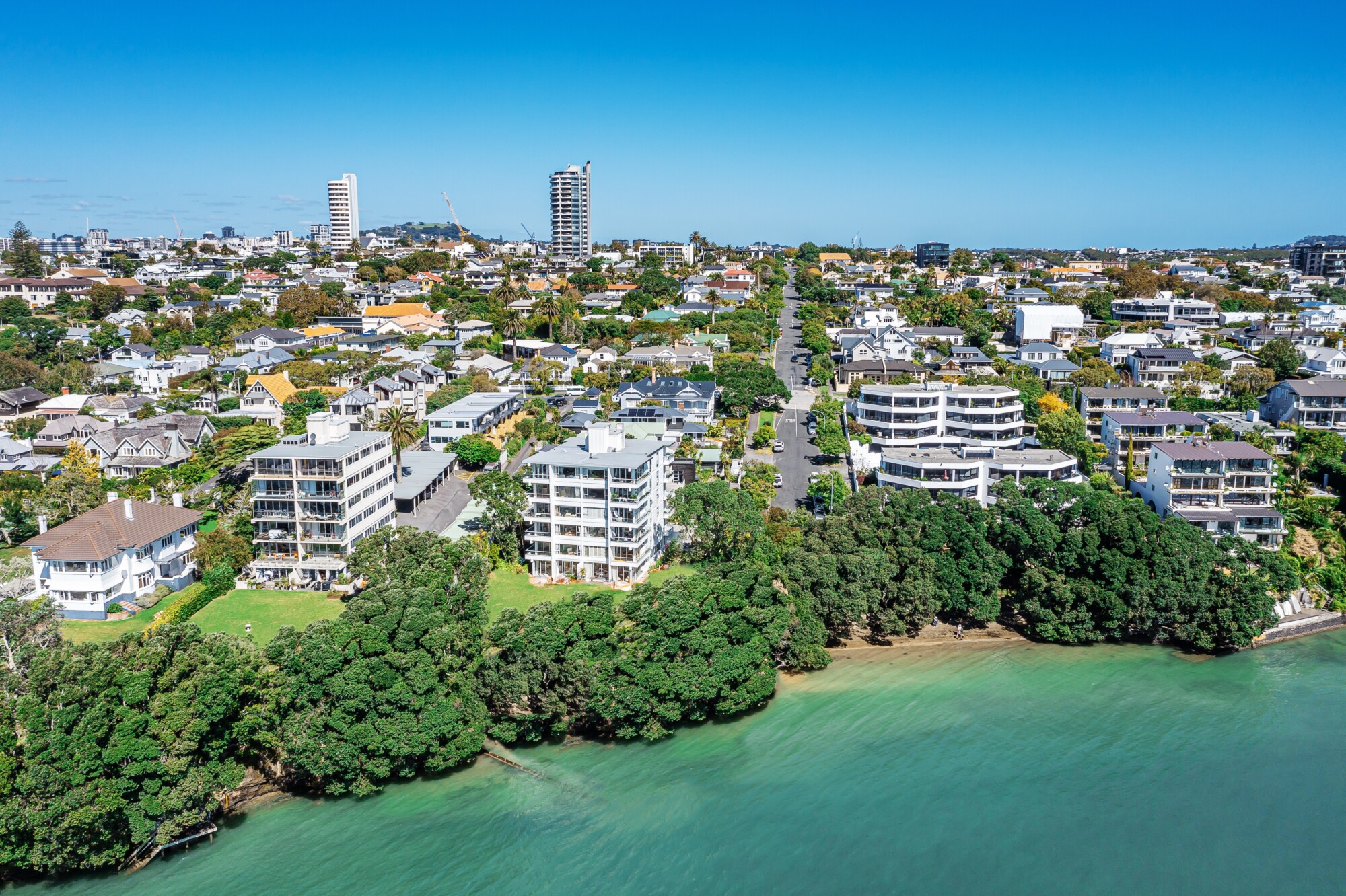 65b Hamilton Road, Herne Bay Reeveal