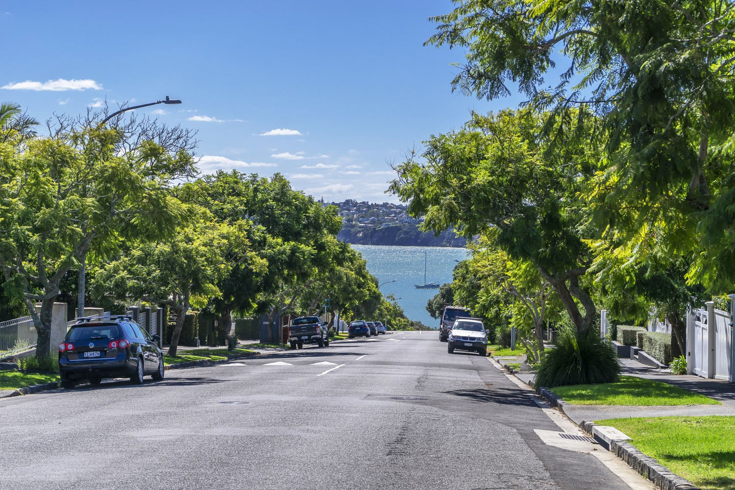 65b Hamilton Road, Herne Bay Reeveal