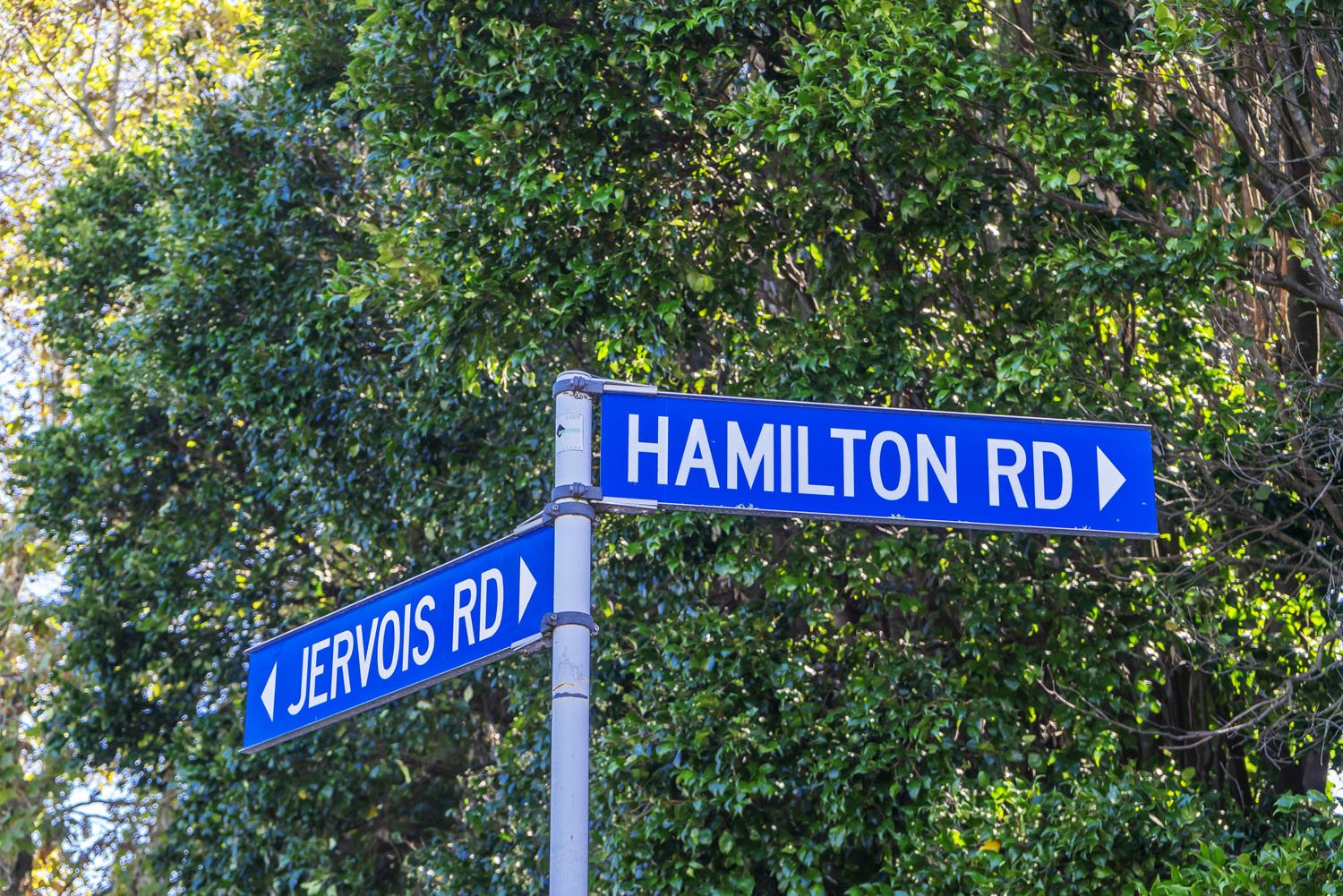 65b Hamilton Road, Herne Bay Reeveal